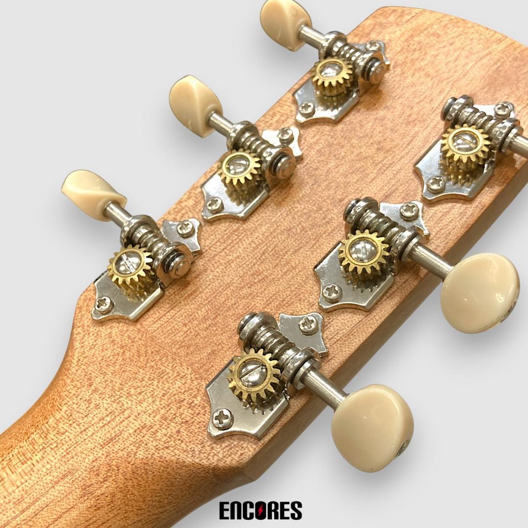 aNueNue aNN-MC10-LC アコースティックギター