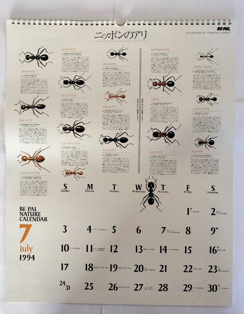 BE-PAL ビーパル カレンダー 新品未使用 1994年 ヴィンテージ