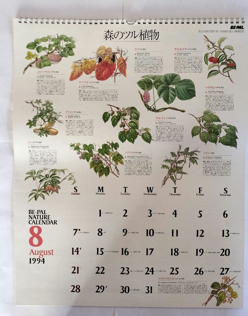 BE-PAL ビーパル カレンダー 新品未使用 1994年 ヴィンテージ