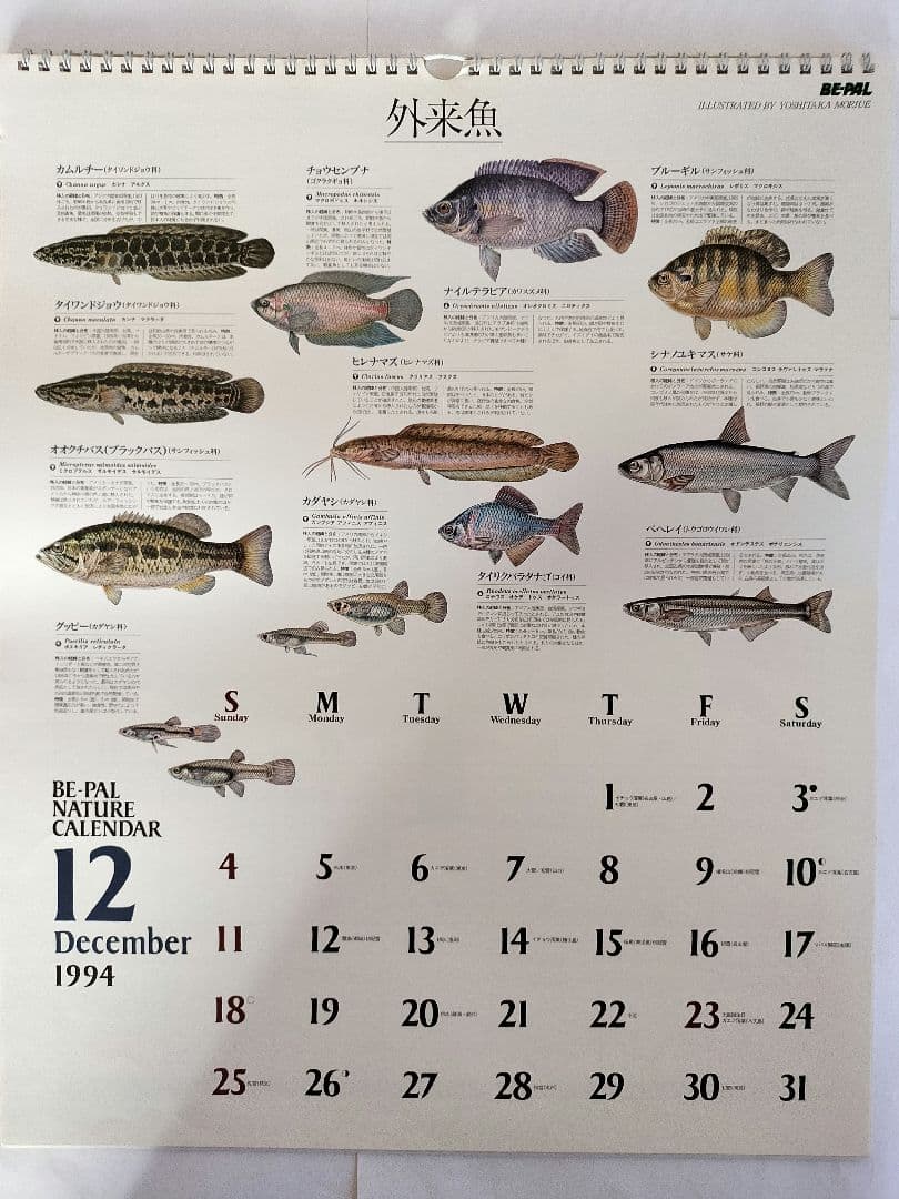 BE-PAL ビーパル カレンダー 新品未使用 1994年 ヴィンテージ