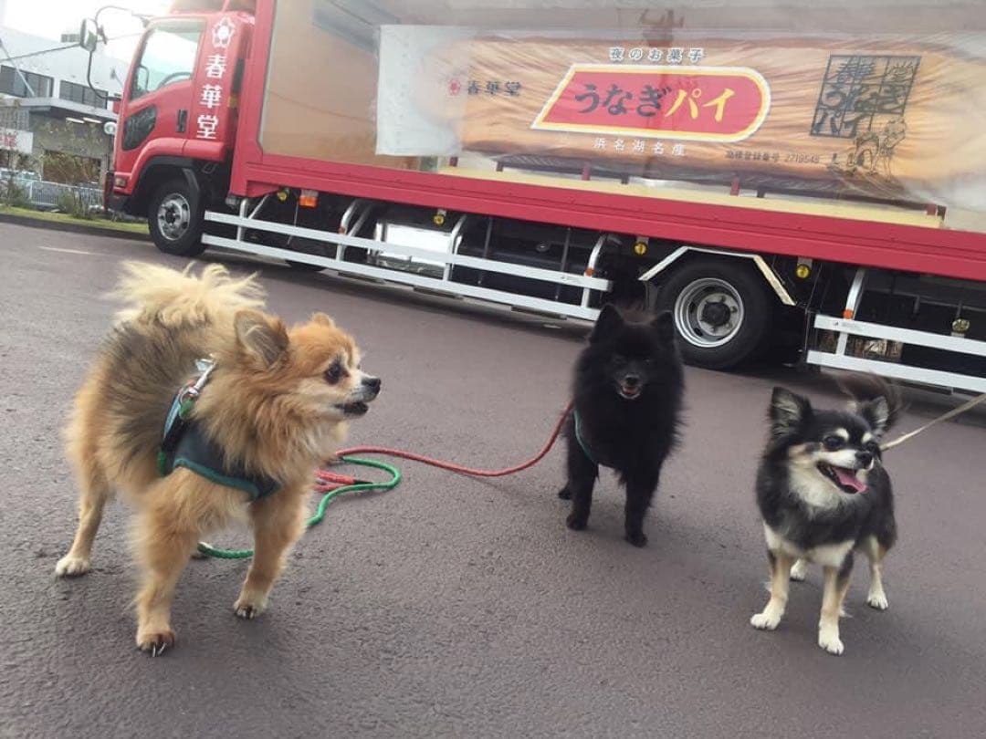 むぎまんま様確認用。