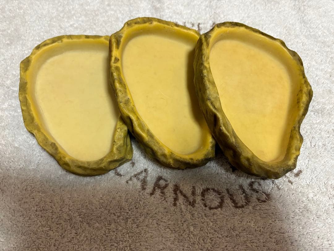 爬虫類飼育セット（爬虫類飼育ガラスケージセット）