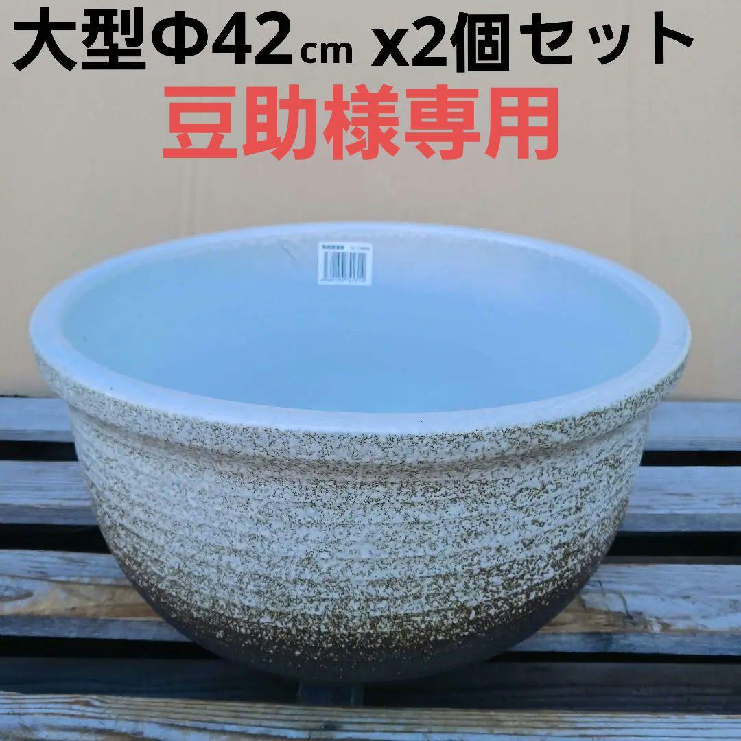豆助　∅42　2個セット　陶器睡蓮鉢　メダカ鉢　難有　白　ホワイト　MWH