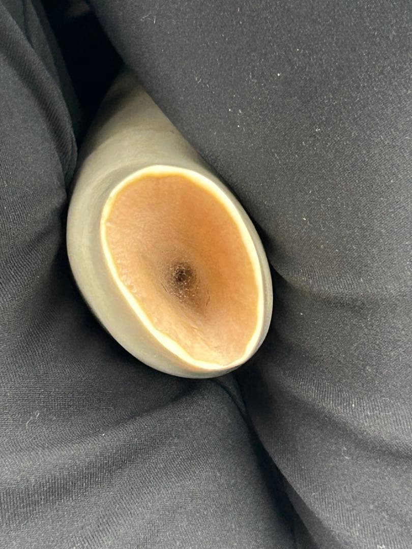 鯨/鯨歯/クジラ/歯/牙/263.68g