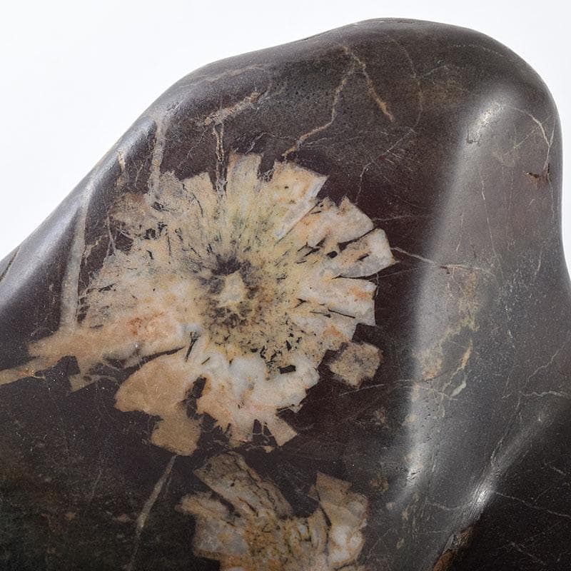 天然石　鑑賞石　菊花石　置物　重さ約1370g　V　R8681