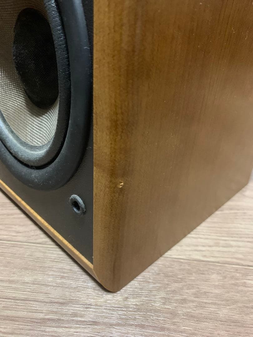 DIATONE DS-200ZX スピーカー