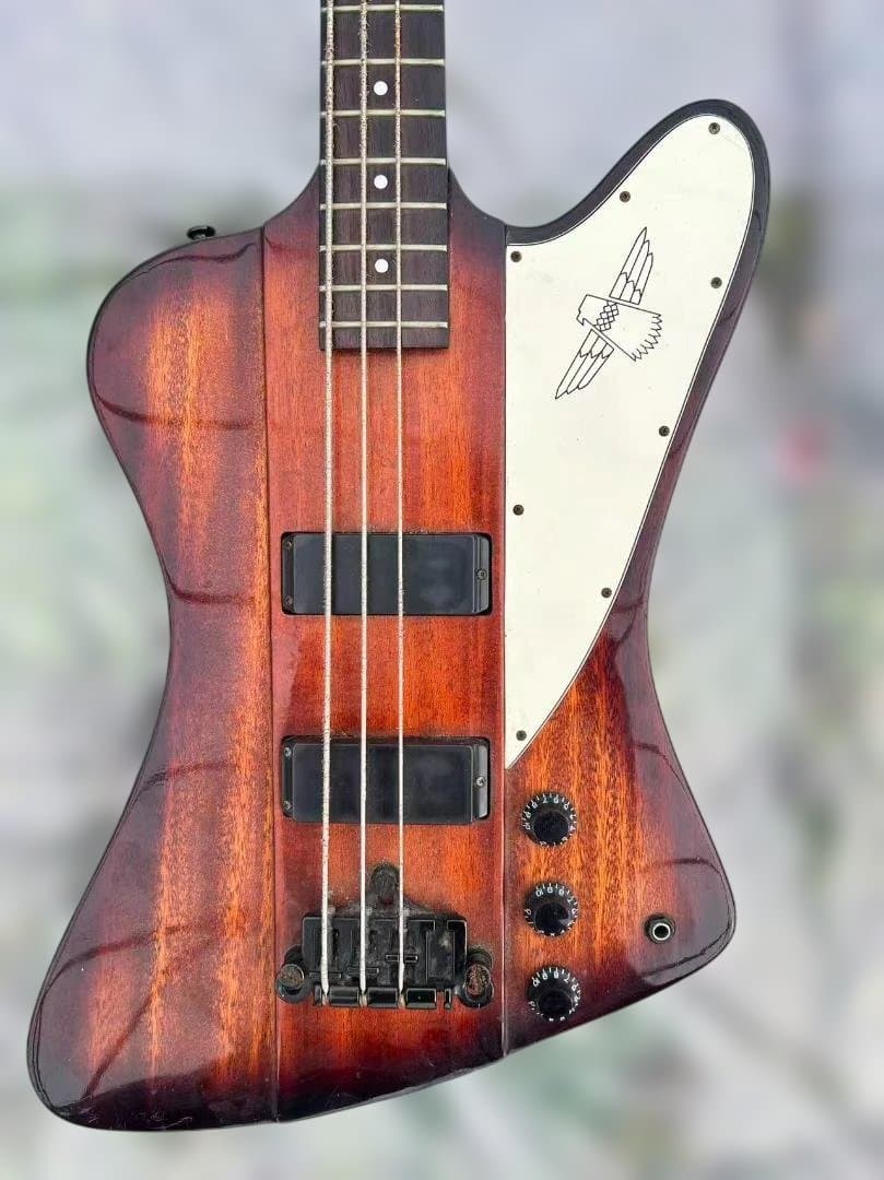 ク*コ様 Epiphone エピフォン　thunderbird サンダーバード