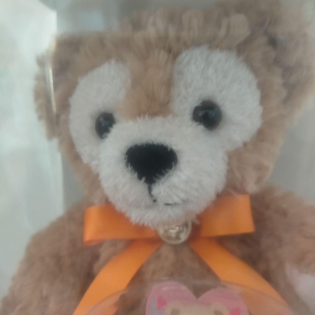 ☆ダッフィー☆ぬいぐるみ☆ManyThanks☆プリザーブドフラワー☆花☆