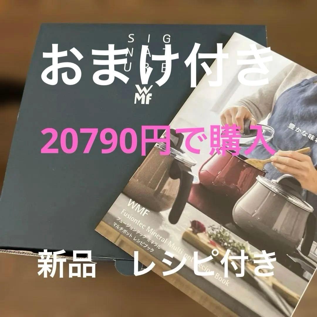 ヒュージョンテックミネラルマルチポット14cm レシピ付き新品おまけ付き