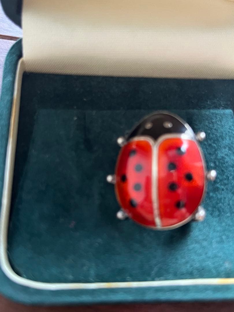 デビッド・アンダーセン David-Andersen テントウムシ ブローチ