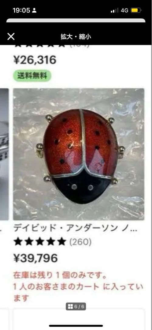 デビッド・アンダーセン David-Andersen テントウムシ ブローチ