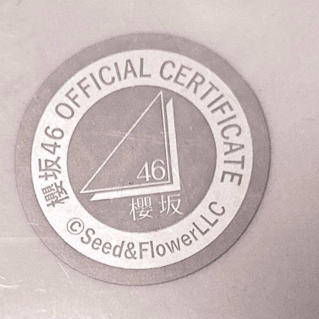 櫻坂46・増本綺良・直筆サイン入り生写真、クリスマスサンタ衣装