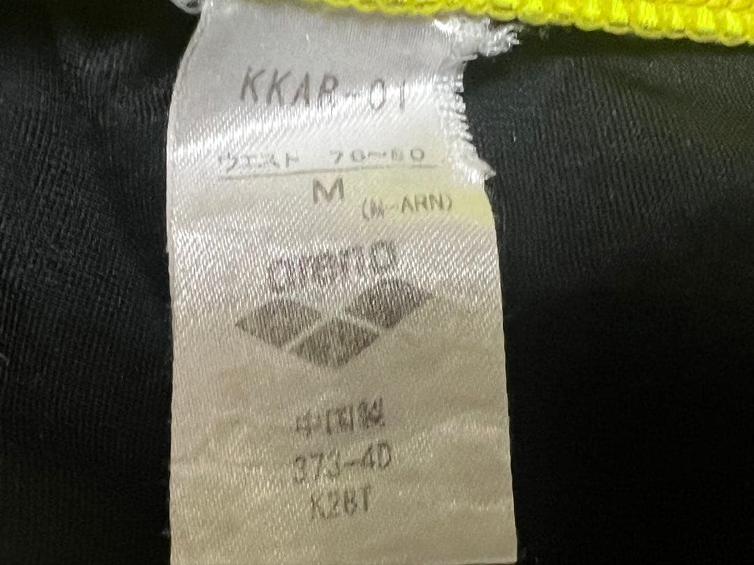 日体大競泳水着 アリーナＶパン