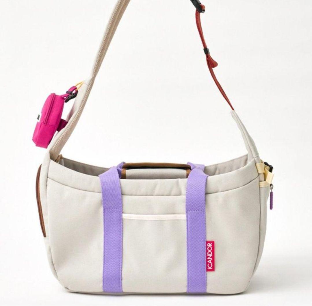 iCANDOR アイキャンダー キャリーバッグ M クッション付き