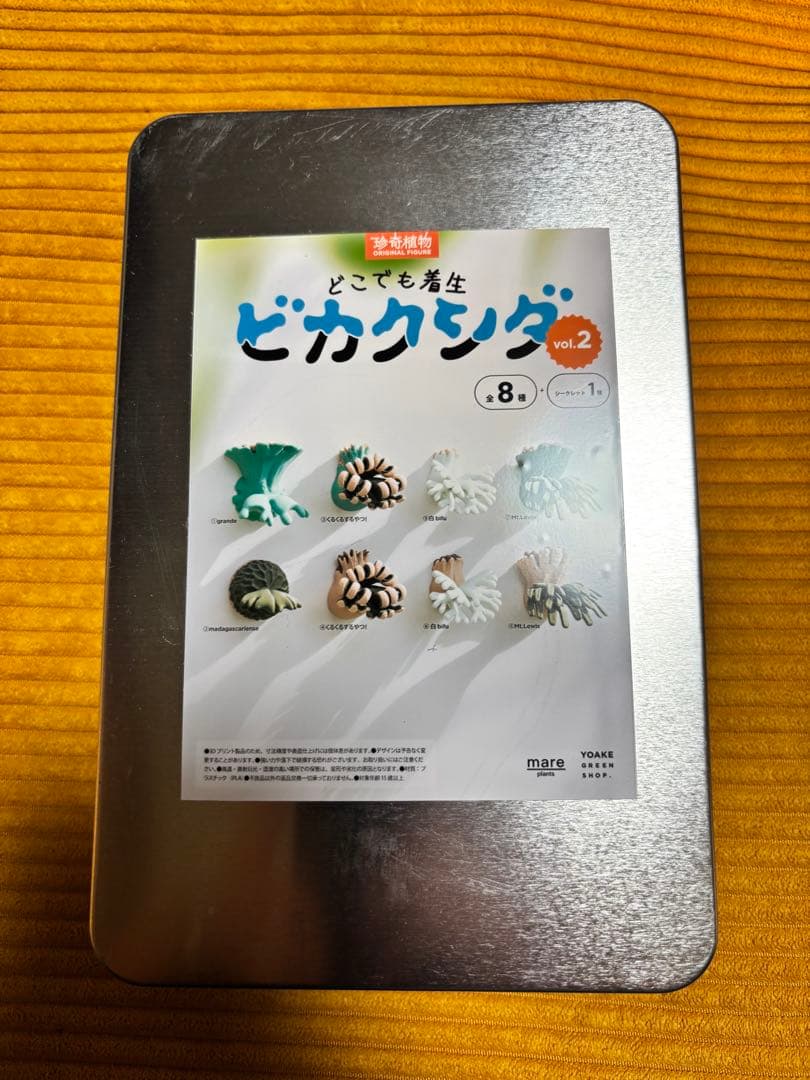 どこでも着生ビカクシダ vol.2 スチール缶　mare plants