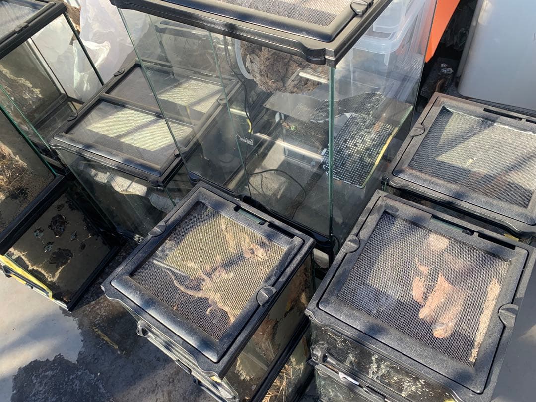 グラステラリウム　ナノ　4個　nano エキゾテラ　ケージ