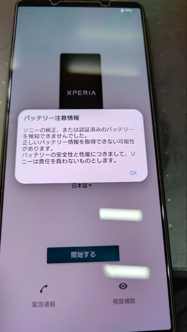 【訳あり・動作確認済】Xperia 1 V 256GB ブラック（おまけ付）