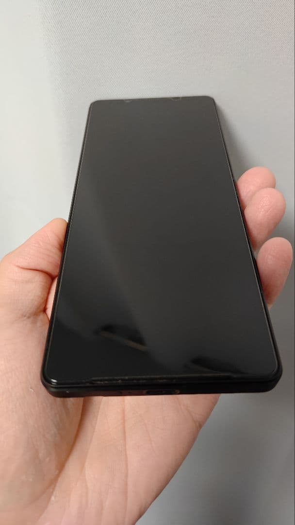 【訳あり・動作確認済】Xperia 1 V 256GB ブラック（おまけ付）