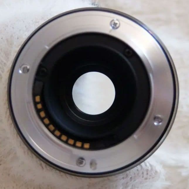 富士フイルム XF60mmF2.4 R Macro マクロレンズ 作例あり