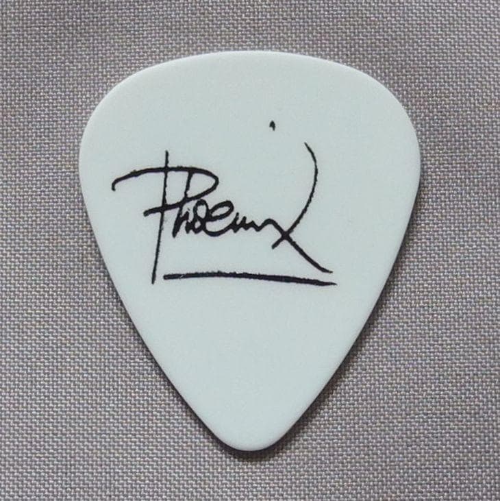 Linkin Park リンキン・パーク 2013年 ギターピック