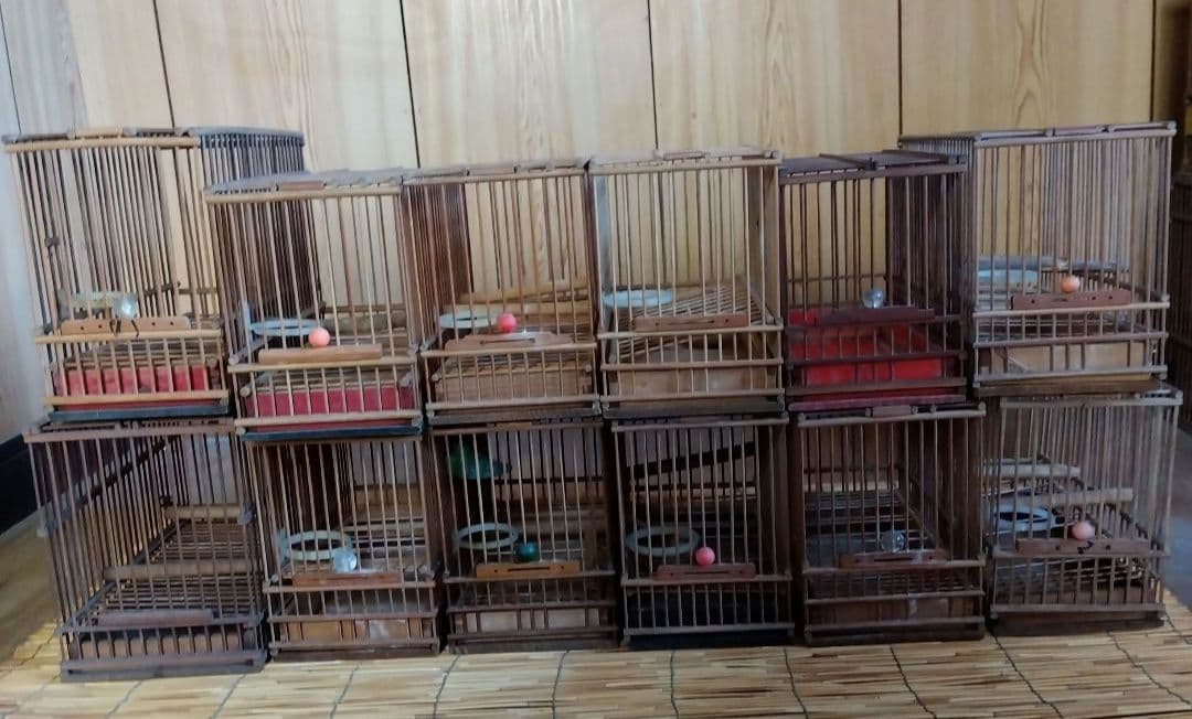 昭和　日本製　鳥かご　メジロ籠　12個セット　高さ17センチ