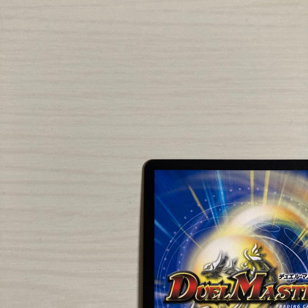 メルカリ便 聖霊超王 Hアルカディアス 秘 シク シークレット