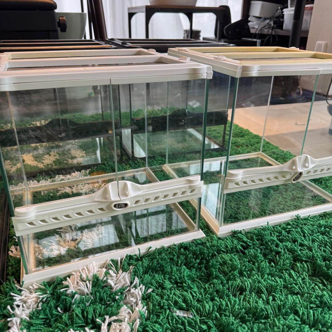 爬虫類飼育ケージ GEX 3030 テラリウム　7個セット
