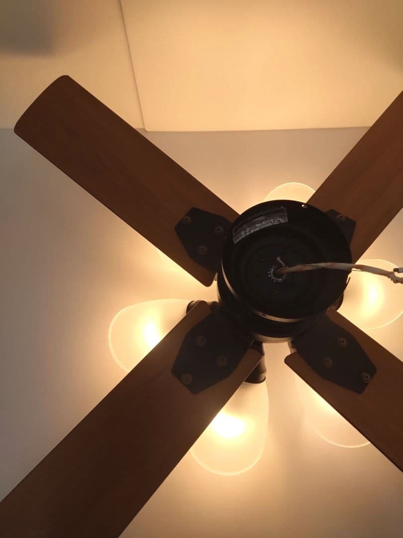 シーリングファン ウィンダブル 6灯 BIG-102 Windouble 阪和