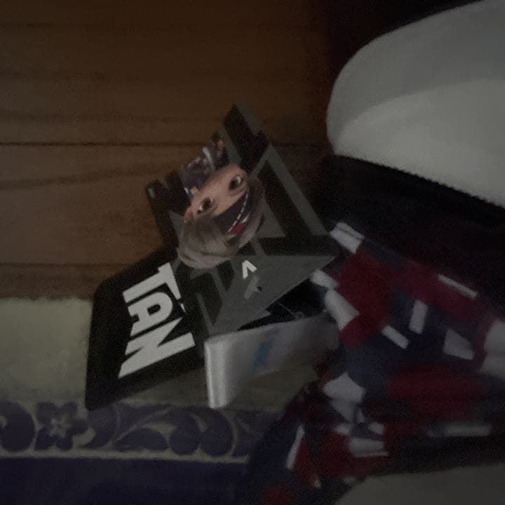 BＴＳ(v)ＳＥＧ A景品1番くじビッグ寝そべりぬいぐるみ