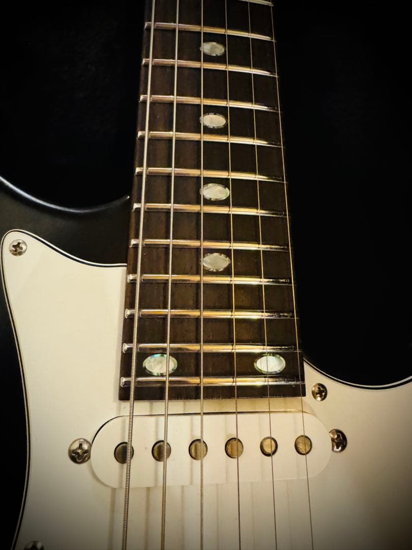 ギター FREEDOM CUSTOM GUITAR RESEARCH EZa 24f