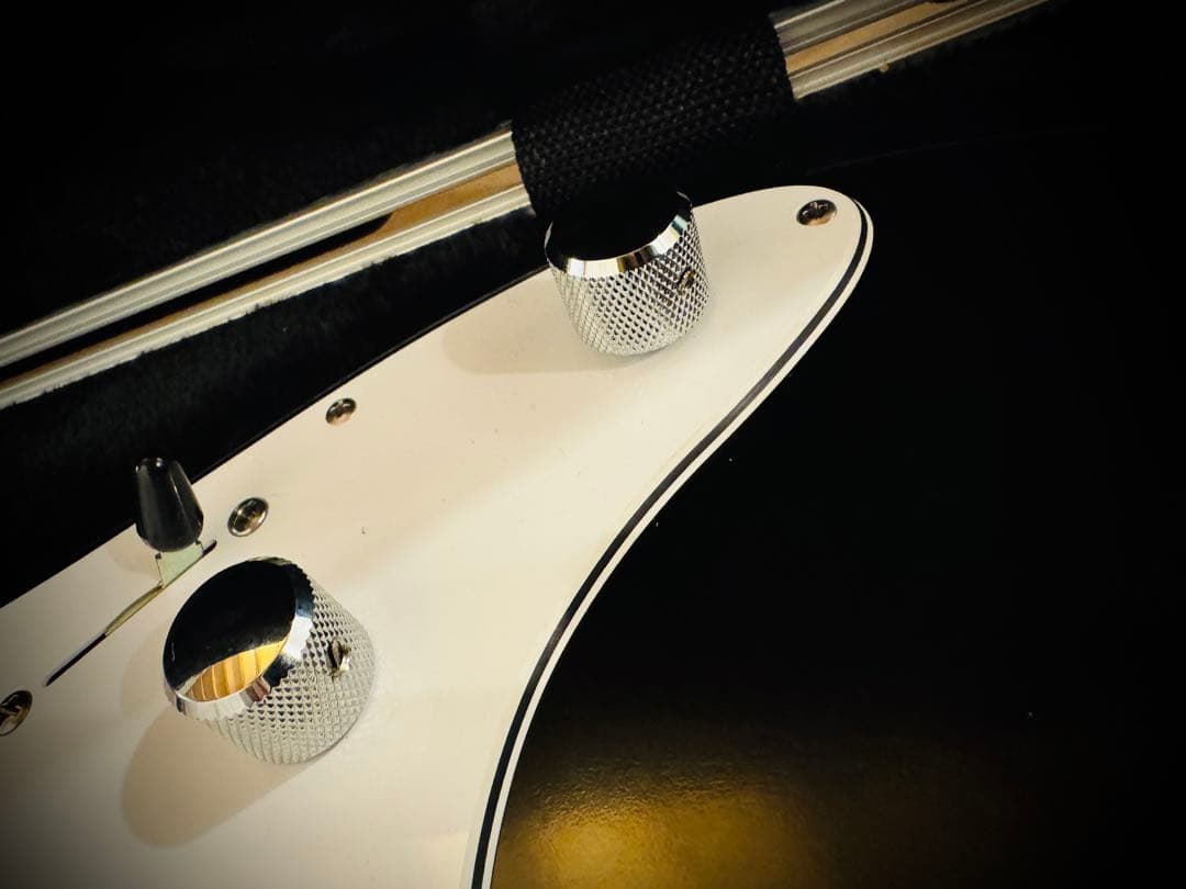 ギター FREEDOM CUSTOM GUITAR RESEARCH EZa 24f