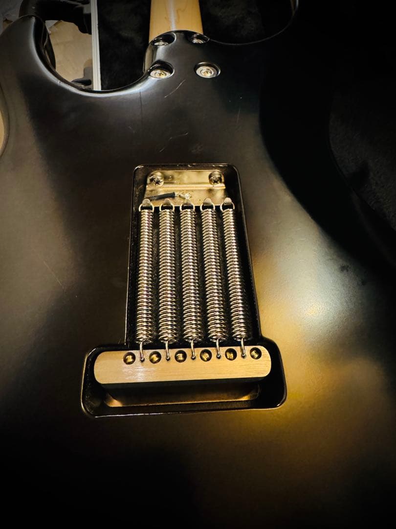 ギター FREEDOM CUSTOM GUITAR RESEARCH EZa 24f