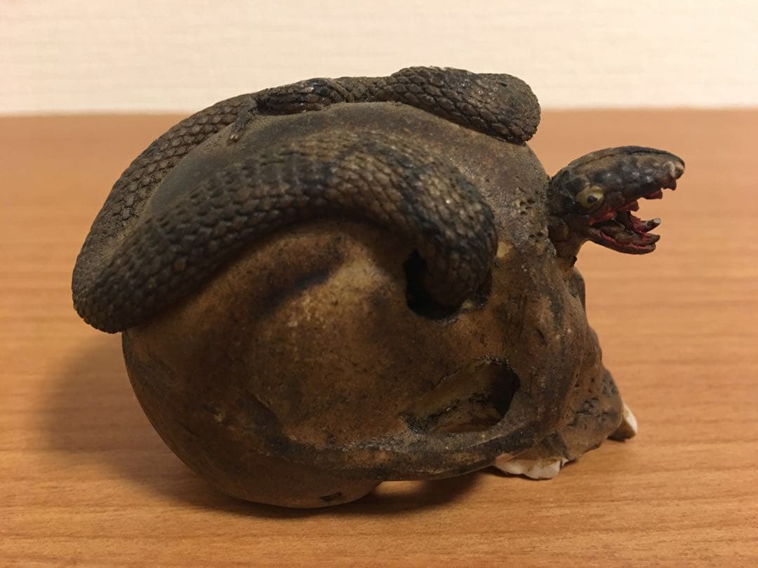 時代物 蛇と髑髏