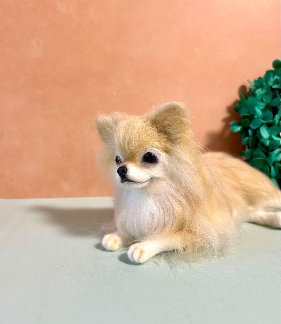 羊毛フェルト　おすましチワワちゃん　クリーム