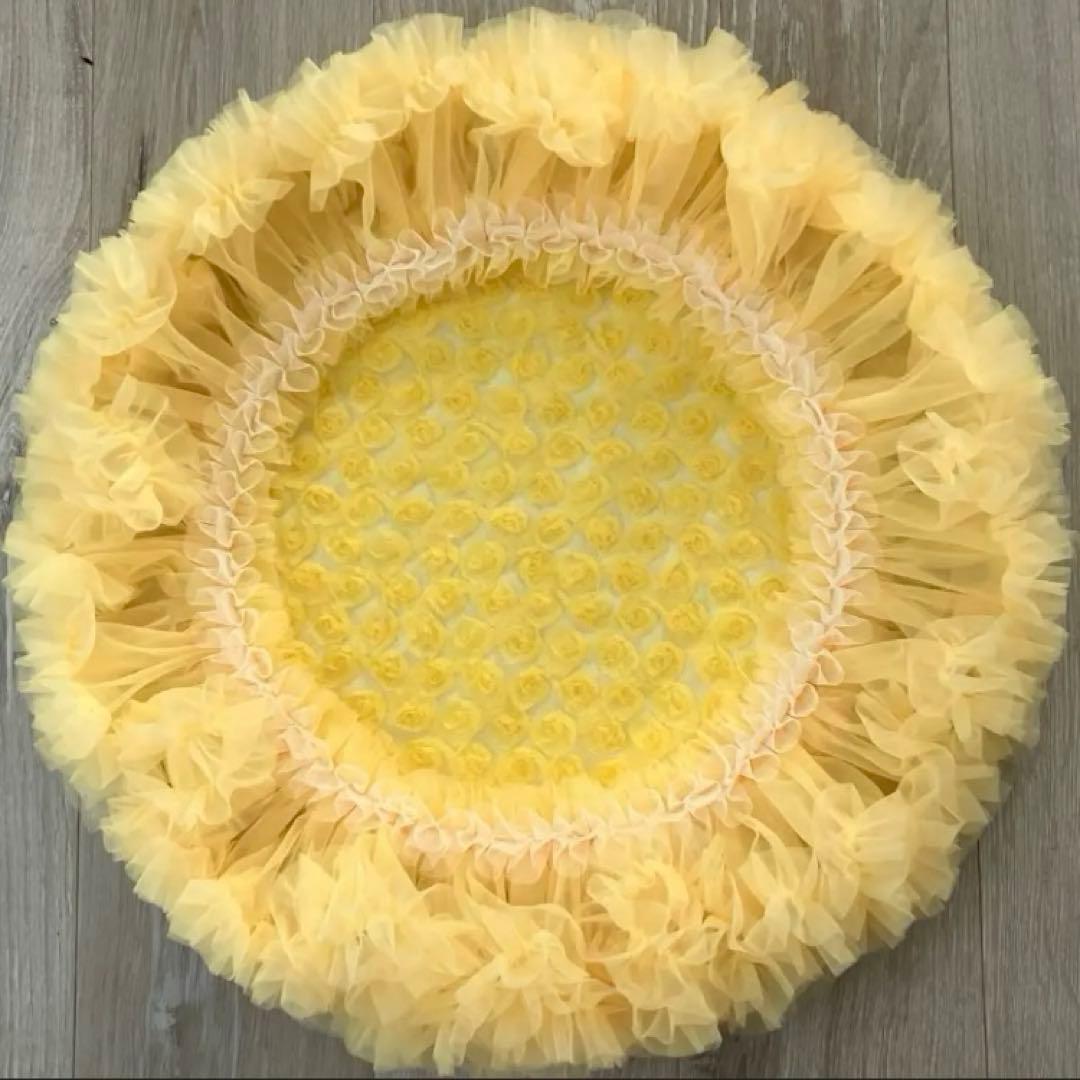 Mona様✨️御専用カフェマット(2枚)