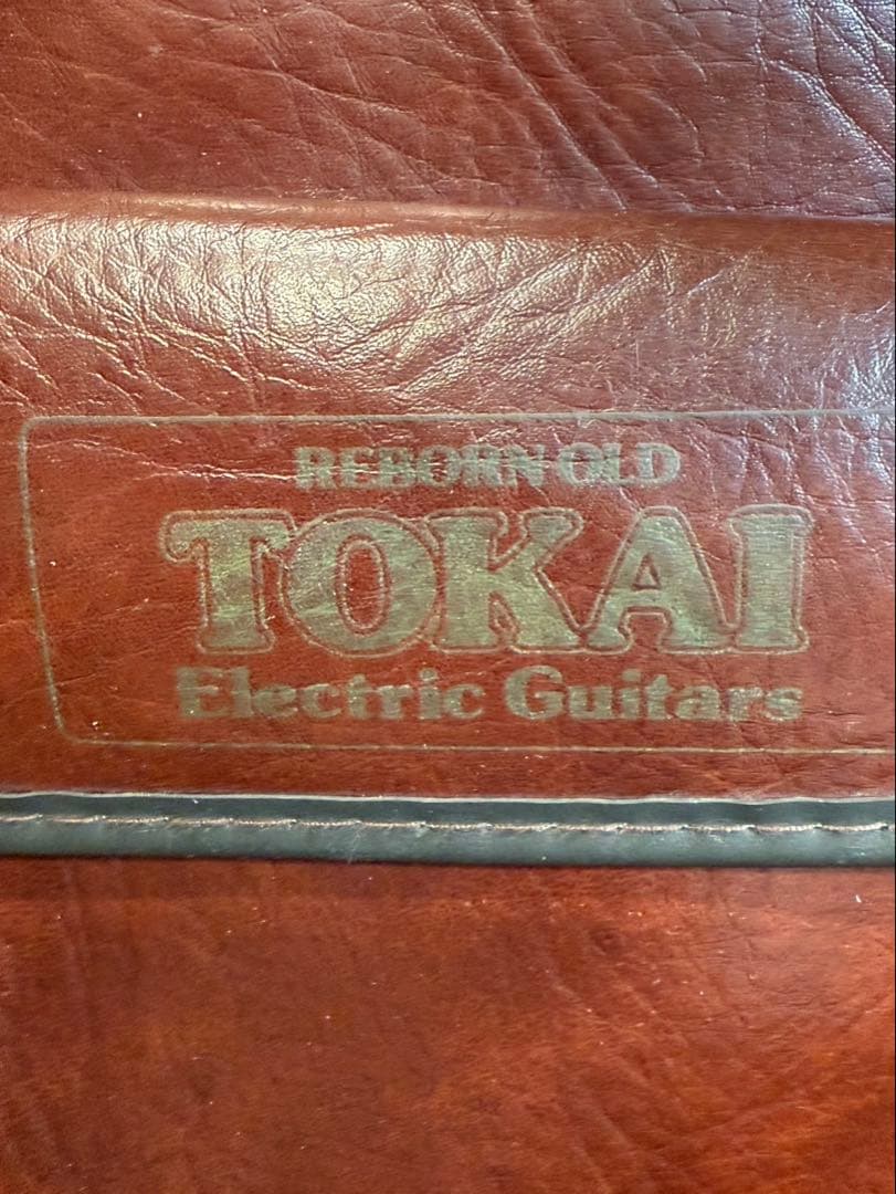 本日限定値下げ★エレキギター　星野楽器　アイバニーズ　F334235 RX