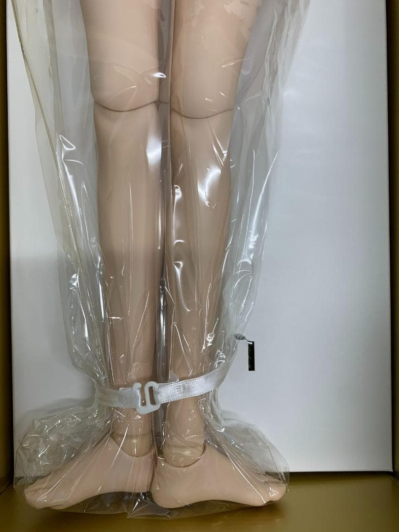 ボークス DD ルーラー/ジャンヌ・ダルク ドルフィードリーム