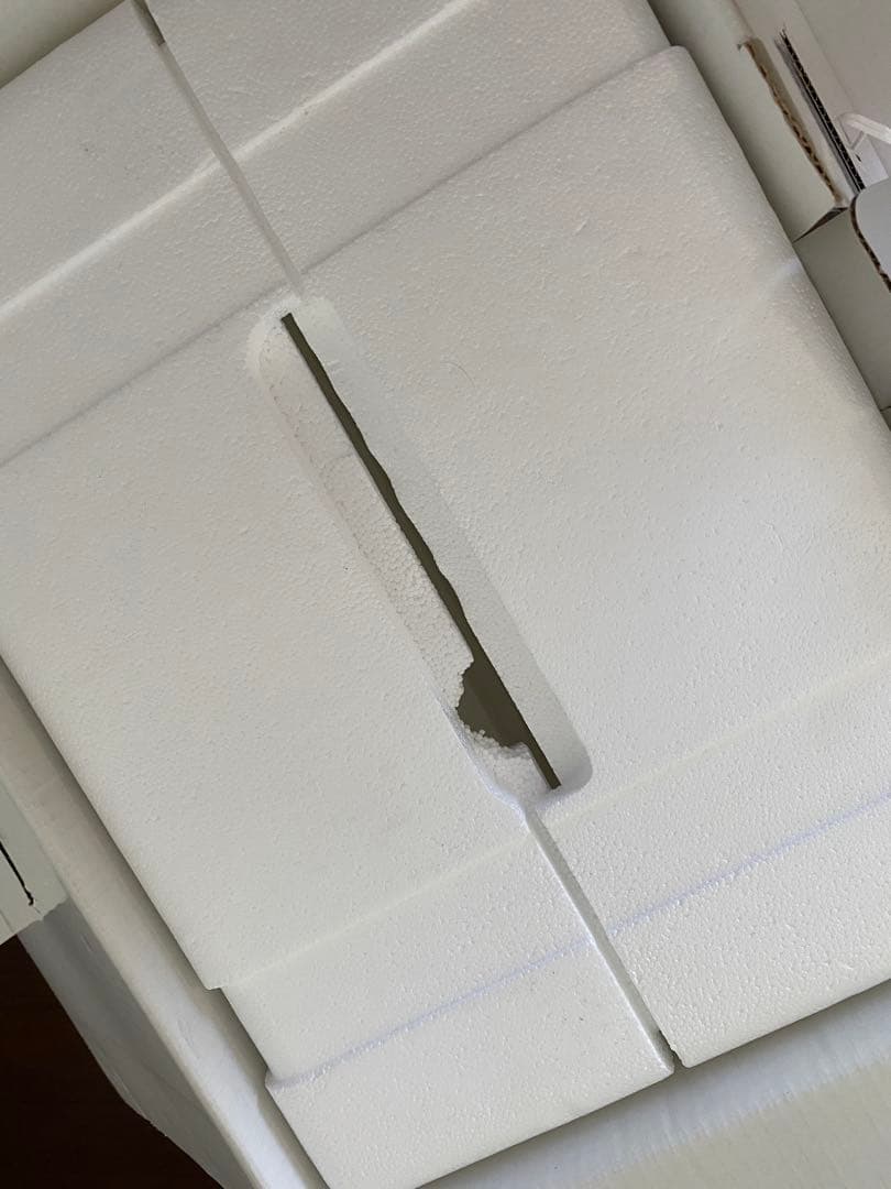 値下げ‼️バイオプトロンPro1 箱あり スウォッツセット