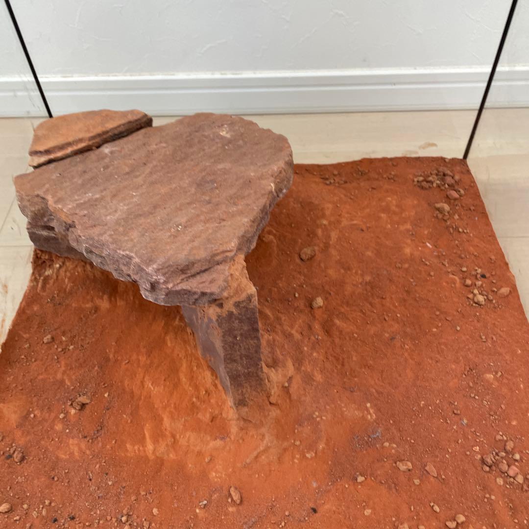 グラステラリウム　4545 エキゾテラ　飼育　ケージ　爬虫類　両生類　レイアウト