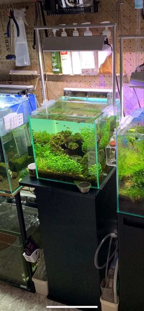 せ*い様 【引き取り限定】30㌢キューブガラス水槽 LEDライト付き 流木と岩の