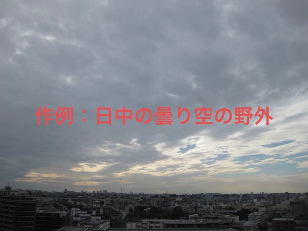 【動作品】Canon キャノン IXY DIGITAL 25 IS レトロカメラ