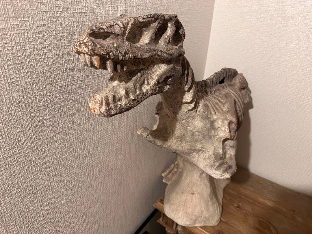 COVENT GARDEN 恐竜の大型骨格オブジェ　約80cm グレー 石膏製？