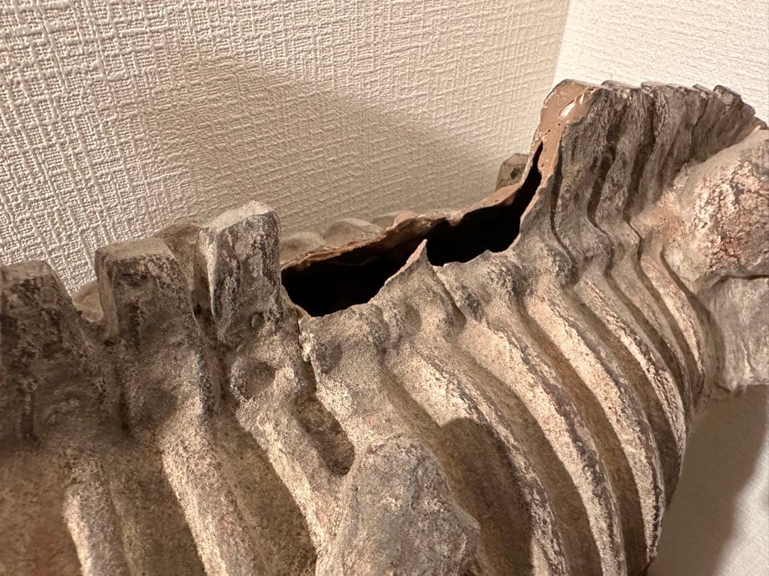 COVENT GARDEN 恐竜の大型骨格オブジェ　約80cm グレー 石膏製？