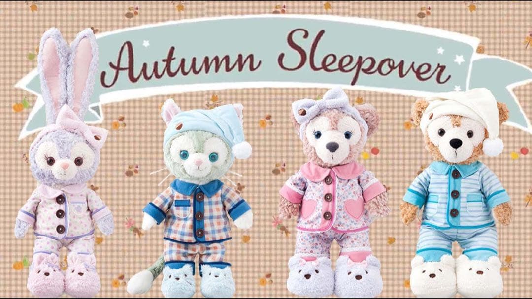 新品未開封⭐︎オータムスリープオーバー　コスチューム 4体セット