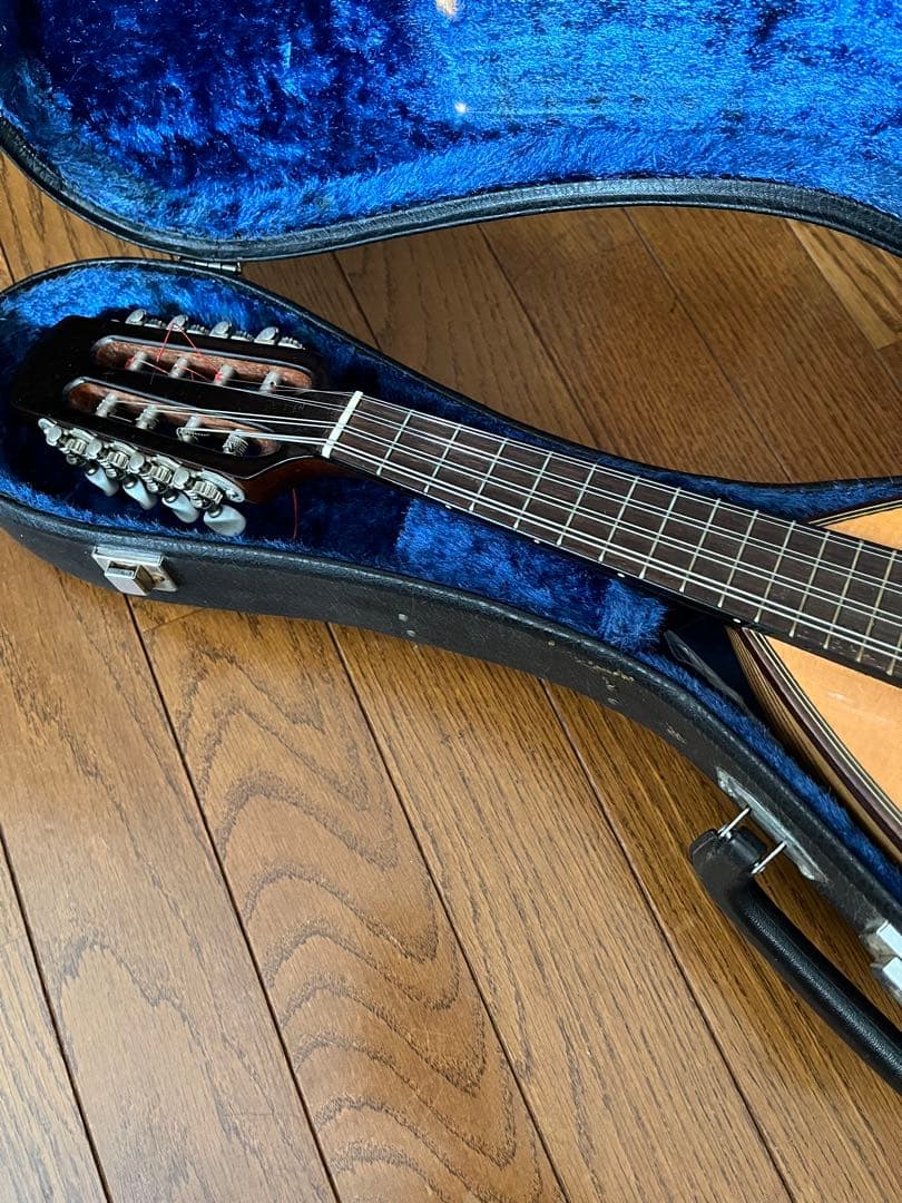 SUZUKI　マンドリン　M-30　 ハードケース付