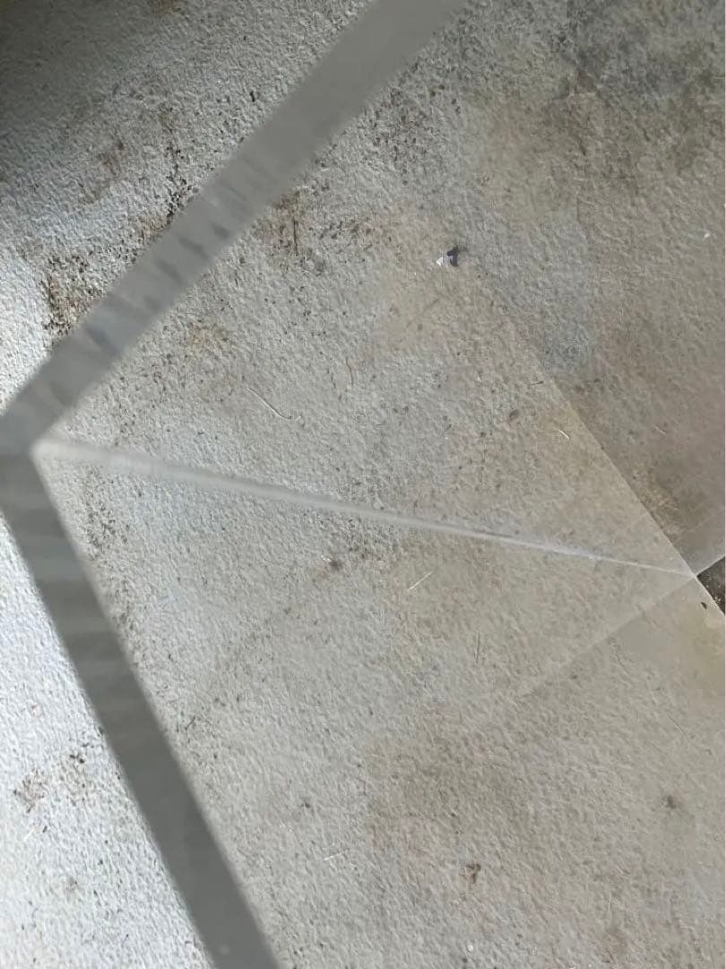 年末年始特化❗️清掃済みアクリル　ケース　大型　水槽