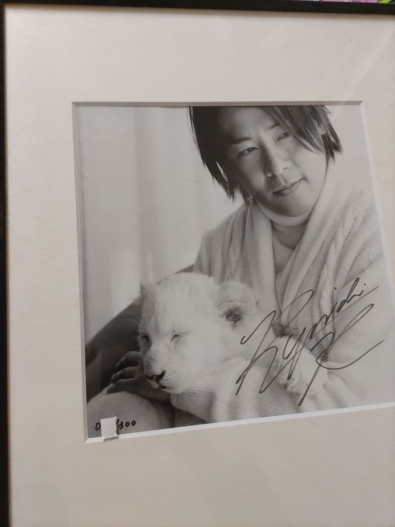 直筆サイン入りFC限定購入品!河村隆一ライオンの赤ちゃん額装LUNA SEA写真