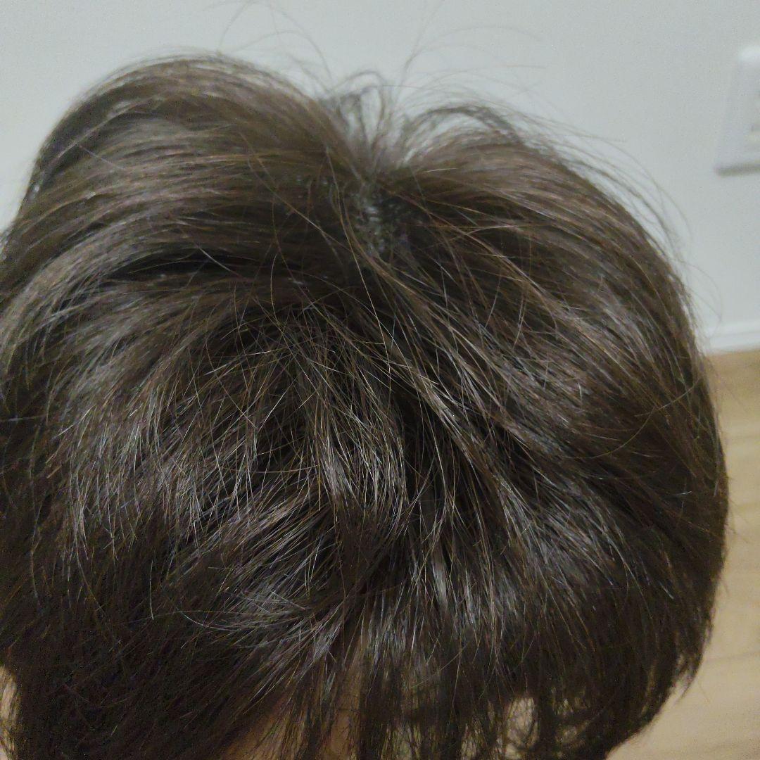 フォンテーヌ　ウィッグ　ＶＭ44 F4