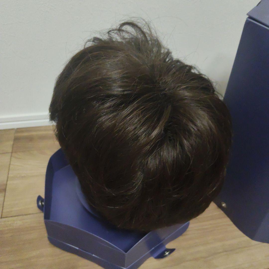 フォンテーヌ　ウィッグ　ＶＭ44 F4