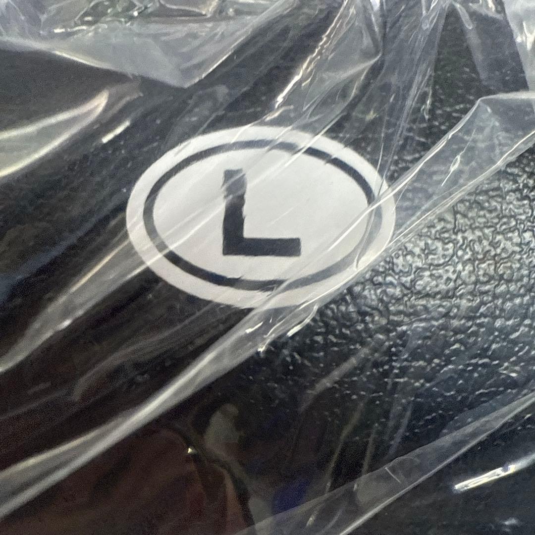 Winning ヘッドギア Lサイズ ホワイト